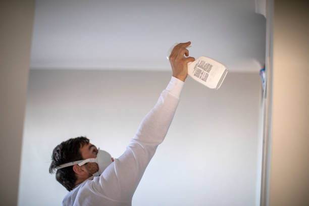 Best DIY Mold Remediation Support Services in Black Earth, WI